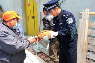 清浦分局盐河派出所 贴心服务送上门，为养殖户筑牢防疫屏障