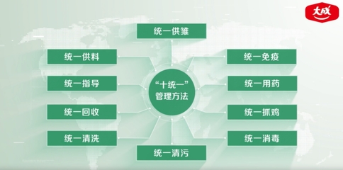 大成食品韦俊贤 以高质量发展为引领，筑牢产品品质与服务根基